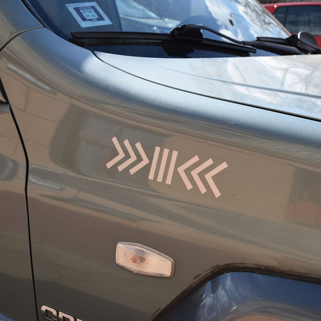 Laimas skujiņa