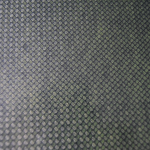 Karbons zeltains
